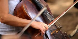 Elegir la talla de violonchelo adecuada