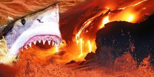 VIDEO Descoperire epocală   Rechinii care trăiesc într un vulcan subacvatic   Incredibilia.ro